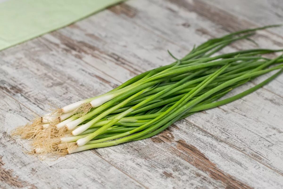 Ko'k piyozning xususiyatlari