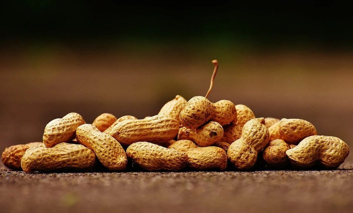 Yeryong'oq xususiyatlari