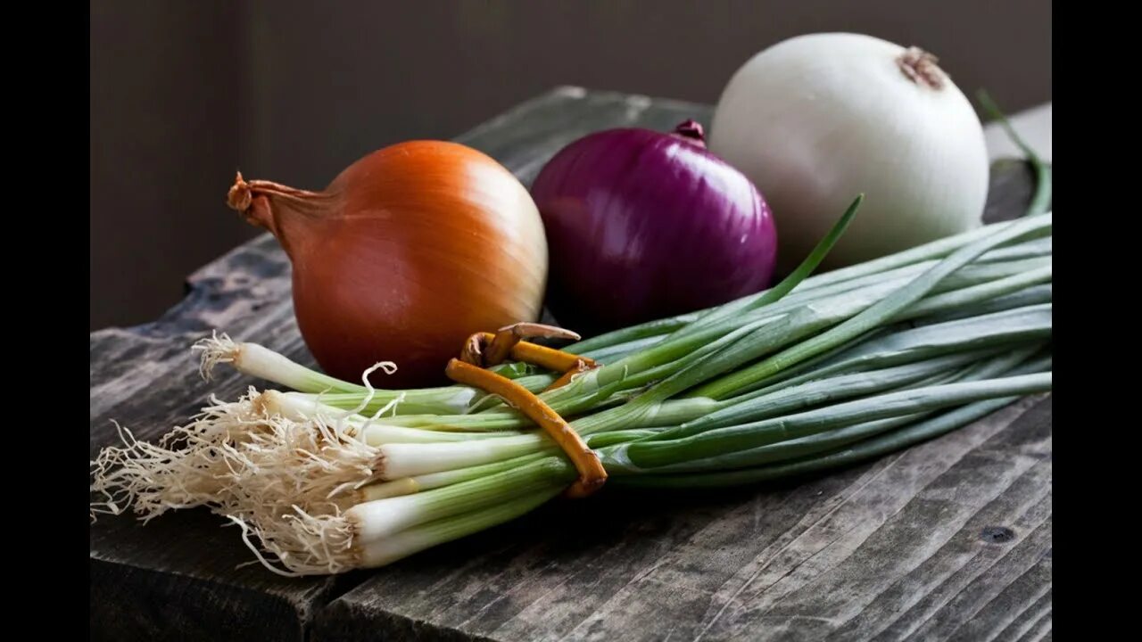 Piyoz va ko'k piyozning xususiyatlari