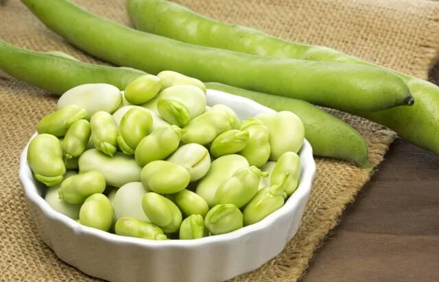 Loviyaning turlari va xususiyatlari