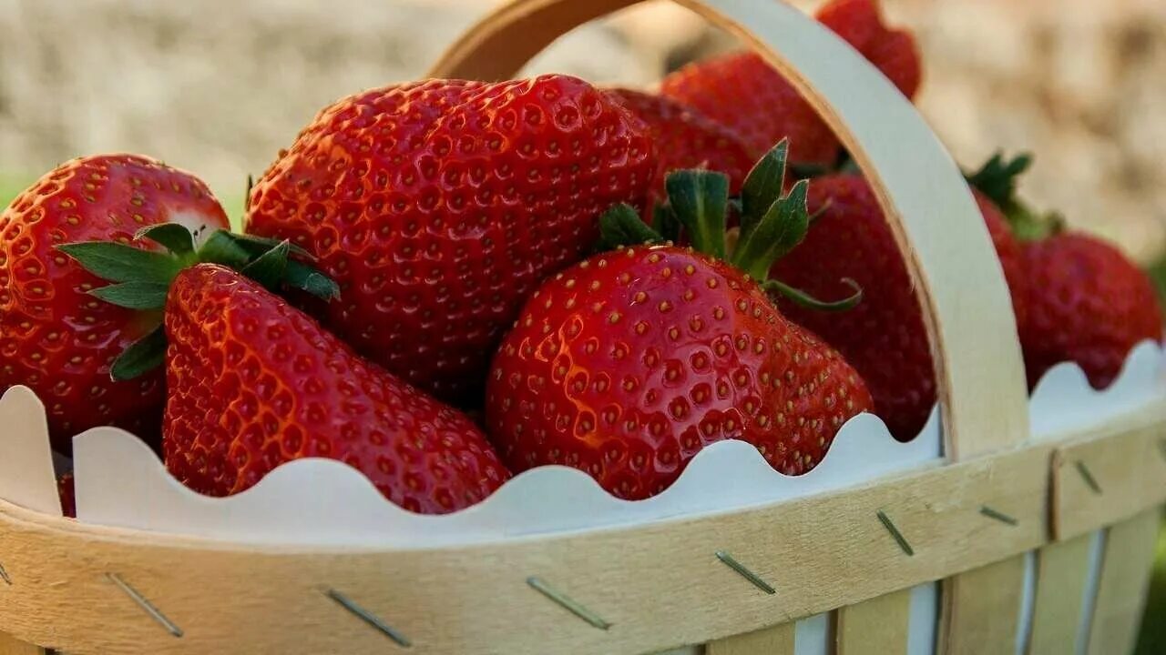 Qulpinayning foydali va zararli tomonlari