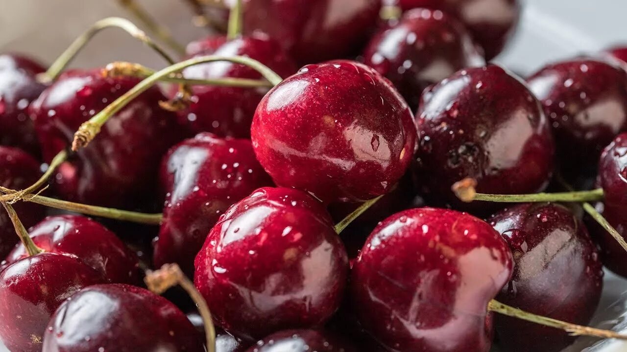 Gilosning foydali xususiyatlari