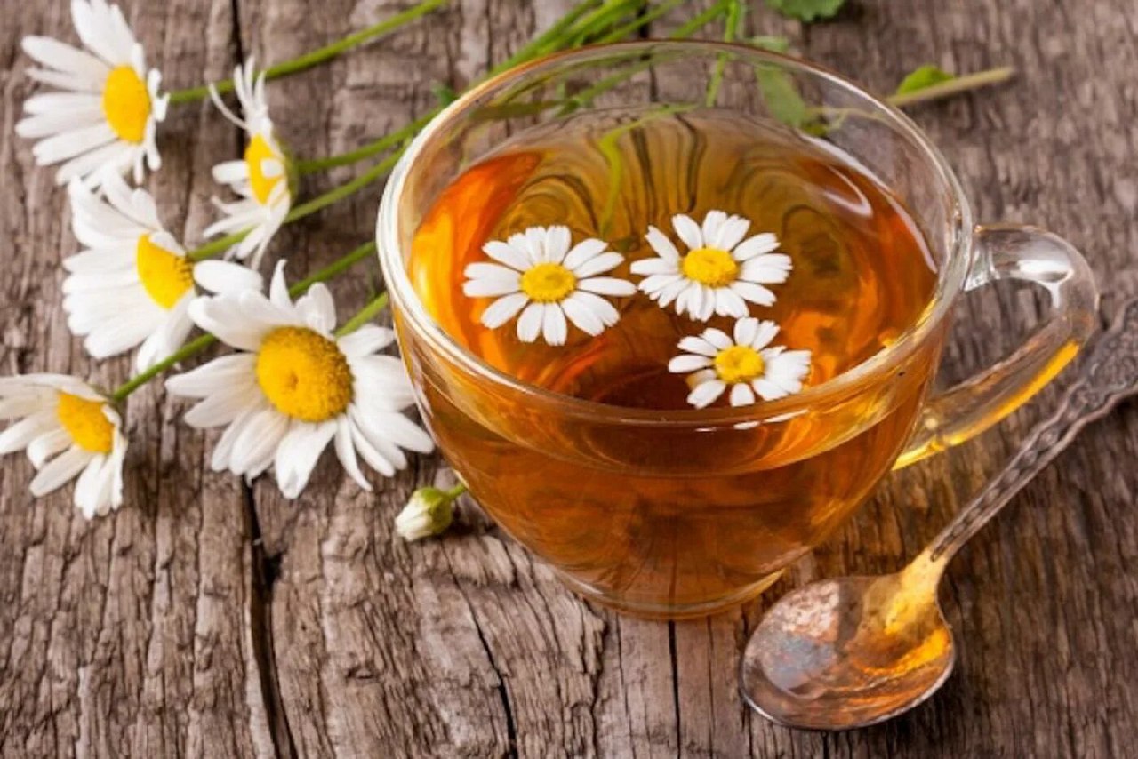 Tinchlantiruvchi moychechak (romashka) choyining siri